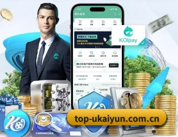 开云入口应用截图