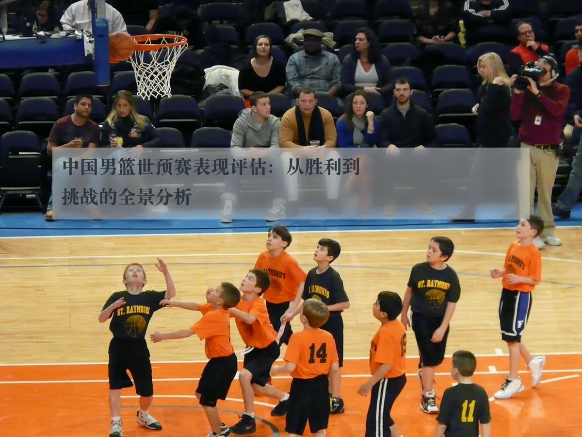中国男篮世预赛表现评估：从胜利到挑战的全景分析